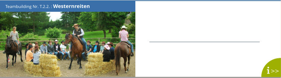 Teambuilding Nr. T.2.2. : Westernreiten >>