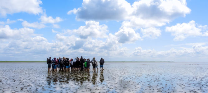 Nordsee Betriebsausflug