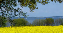 Betriebsausflug an der Schlei